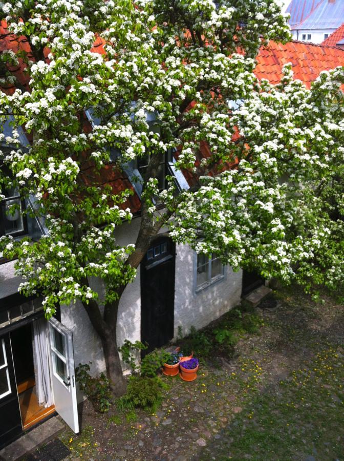 Dahmskahuset Lägenhet Kalmar Exteriör bild
